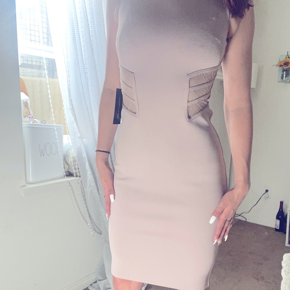 Marciano Fitted Highneck Bodycon Lace Dress